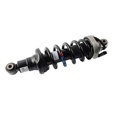 China 420512019AL Suspensión aérea trasera Absorbedor de choques para Audi R8 Air strut en venta