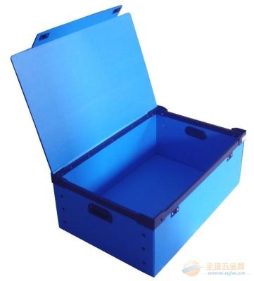 China Recyclable Reusable Moving Storage Corrugated Plastic Boxes correx box White / blue for sale