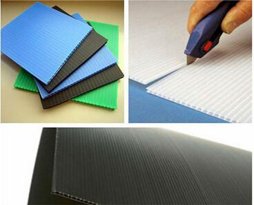 China 4mm 5mm 6mm Twin Wall Polypropylene Sheet For Indoor / Outdoor Display Board for sale