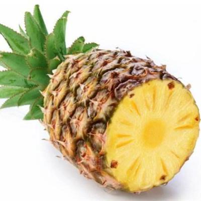 China Canned Hotsale Canned Healthy Pineapple for sale