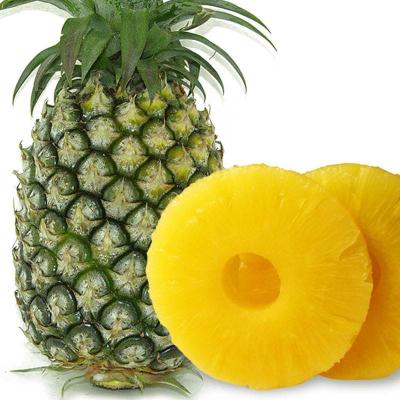 China Canned Delicious Canned Pineapple for sale