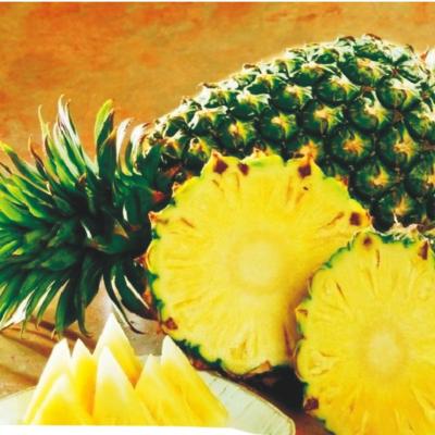 China Canned Zhangzhou Canned Pineapple For Sale for sale