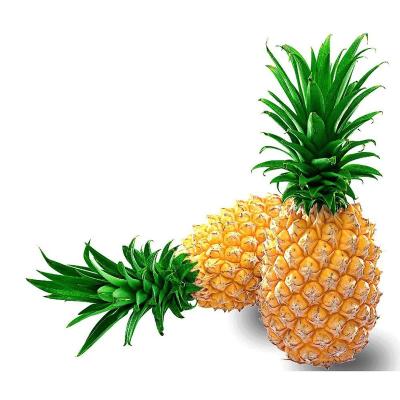 China Canned fresh canned pineapple for sale for sale