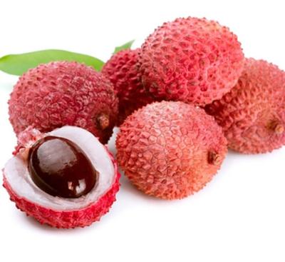 China Export Canned Food Canned Lychee For Vegetable Fruits For Indonesia Food for sale