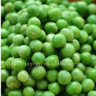 China Canned price of fresh peas in brine for sale