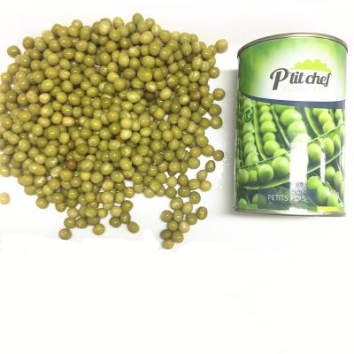 China Best Canned by Import Canned Green Beans for sale