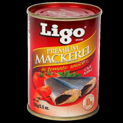 China Small tinned canned mackerel in tomato sauce for sale