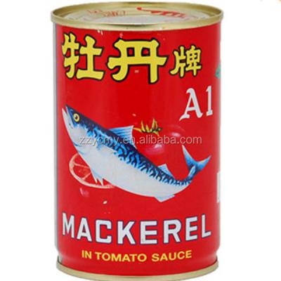 China Canned mackerel tin fish in tomato sauce for sale for sale