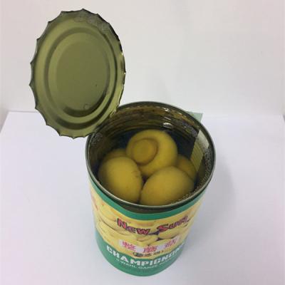 China 2018 Delicious Canned Mushroom for sale