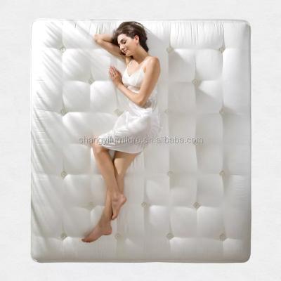 China Modern Luxury Latex Pocket Bed Base / Belgium Latex Mattress Stuff Latex Foam Memory Foam for sale