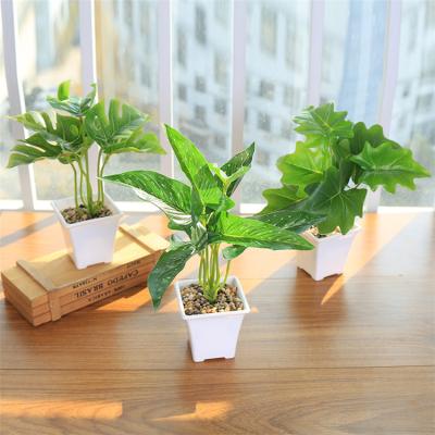 China Desktop Decoration Table Small Ornaments Potted Artificial Green Plant With White Plastic Base For Indoor Home Ornaments for sale