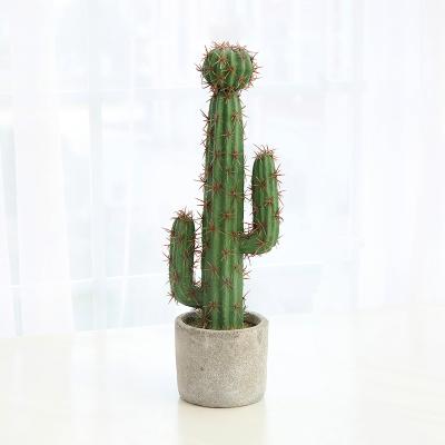 China Farmhouse Indoor Decoration Artificial Plant Ornaments , Artificial Plastic Cactus Tree Potted Plants for sale