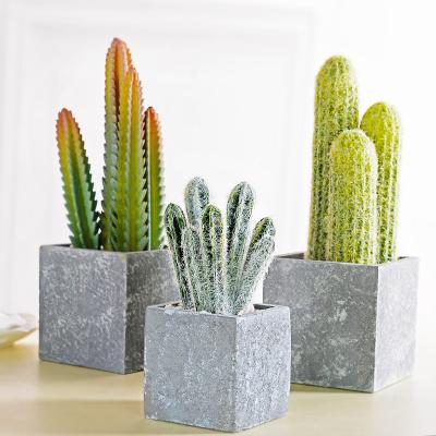 China Hot-selling Minimalist Amazon Succulents Creative Artificial Cactus Potted Ornaments for sale