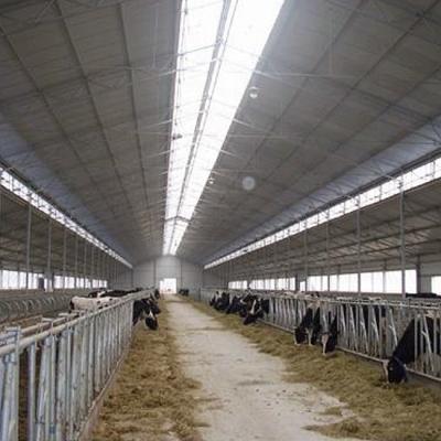 중국 Steel Fabricated House Cow Shed Farm Building Disgn Steel Structure Designing 판매용