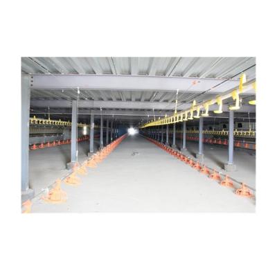 Cina Made Steel Steel Structure Chicken House Poultry Farm Poultry Farm Chicken Farm Structures Lightweight Steel Structure Poultry House in vendita