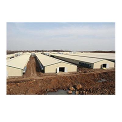 China Modern Prefab Steel Fabricated House Low Cost Steel Structure Poultry Egg Chicken Farm Pier Building House for sale