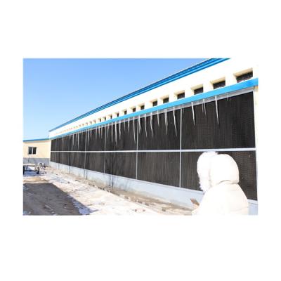 China House Steel Structure Farm Broiler Poultry Shed Construction Design Steel Fabricated Chicken House for sale