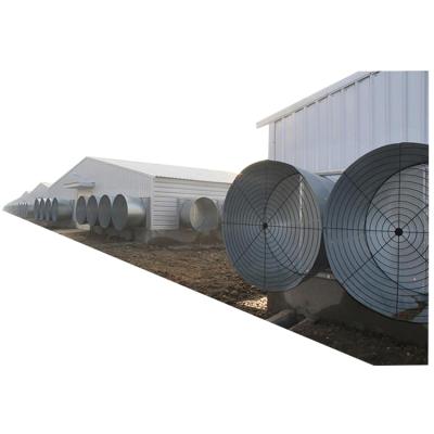 China Steel Fabricated House Steel Structure Warehouse Prefab Chicken House for sale