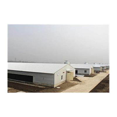 Cina New Steel Fabricated House Design Prefab Steel Structure Poultry Farm Building Shed Chicken Broiler House Design in vendita