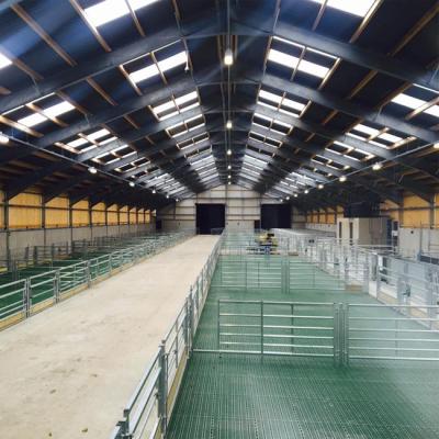 China Steel Fabricated House Prefabricated Steel Structure Cowshed Farmhouse for sale