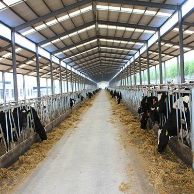 中国 Steel Fabricated House Cow Farm Shed Small House Cheap Low Price Cost 販売のため