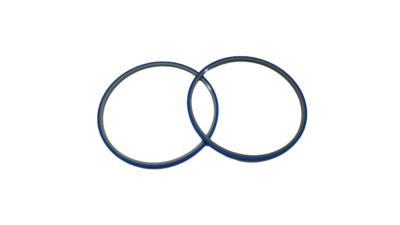 China Wafer Hoop Double Ring Matching Blue Film Used For Semiconductor Field en venta