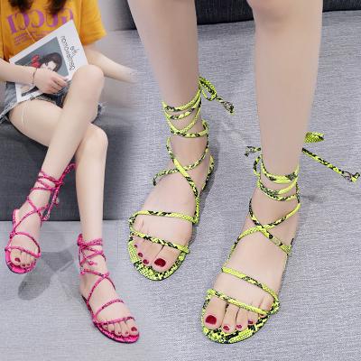 China Fashion Trend New Summer Style Women Snake Print Toe Cross Straps Roman Sandals Open Fashion Ladies Shoes Flat Sandals for sale