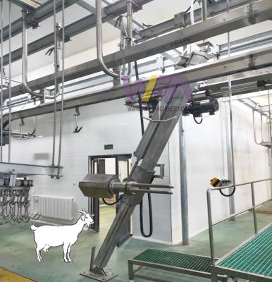 China Customized Sheep Slaughter Line Goat Slaughtering Machine Full Plan Sheep Skinning Machine for sale