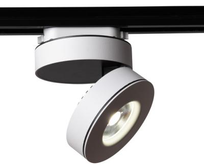 China 20w CREE Led Ceiling Track Lights 120 X 80mm Cob Eagle Driver For Kitchen Hotel for sale