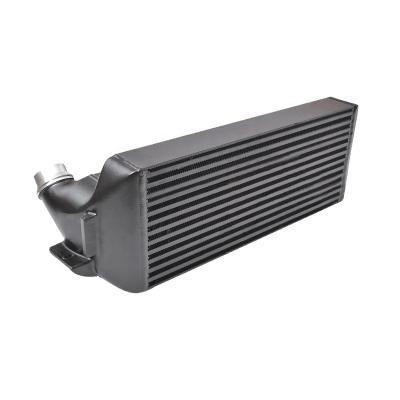 China high quality 6061 or 3003 aluminum engine intercooler for BMW f20 n20 n55 evo2 cooling system for sale