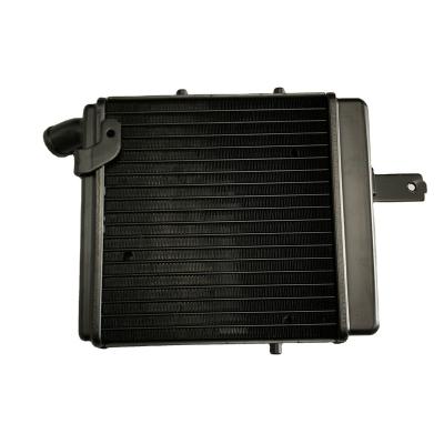 China 6061 Or 3003 Custom Left Right Aluminum Motorcycle Water Radiator For Benelli 1130 for sale