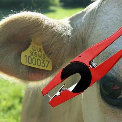 China Pig Factory Made Metal Ear Tag Applicator Animal Pliers For Pig Cow Sheep for sale