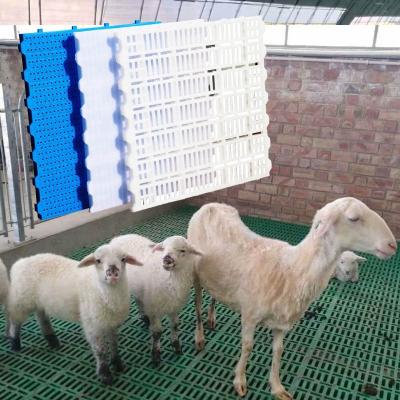 China Easy to clean good quality factory direct supply plastic goat farming plastic slat flooring for pigs and sheep etc. From a cow for sale