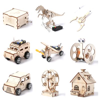 China Laser Cutting Eco-friendly Handmade DIY Toys Wooden Model Hand Crane Science Experiment Kit STEM Tech Puzzle Toys for sale