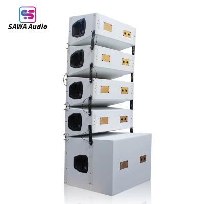 China Birch Plywood OEM Dual Power Line 10 Inch Array Disco Professional Sound Equipment Speaker Stage Customize Equipment for sale