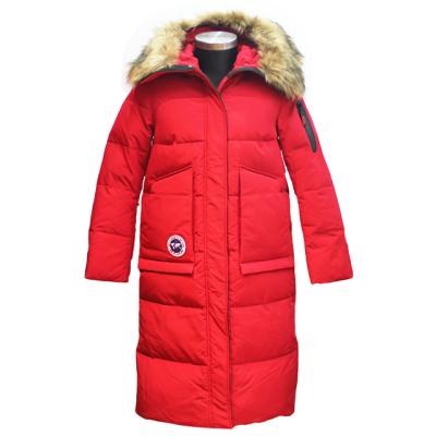 China OEM Service Waterproof Custom Winter Down Coats Cotton Coat Women Size Waterproof Colder-Resistant Women's Coats for sale