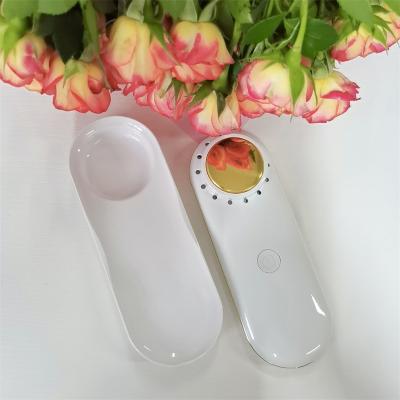 China Anti-Puffiness Other Home Use Beauty Equipment Red Light Therapy Magic Wand Dermaplane Glo Skin Care Tools for sale