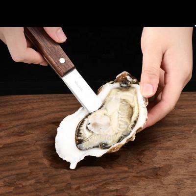 China Stainless Steel Handle Seafood Oyster Husk Knife Clam Oyster Stocked Wooden Knife for sale