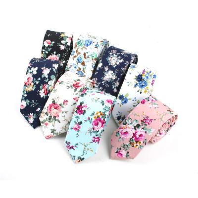 China Polyester Factory Direct Sale Ties Men's Boys Skinny Mens Cotton Printed Tie Floral Necktie for sale