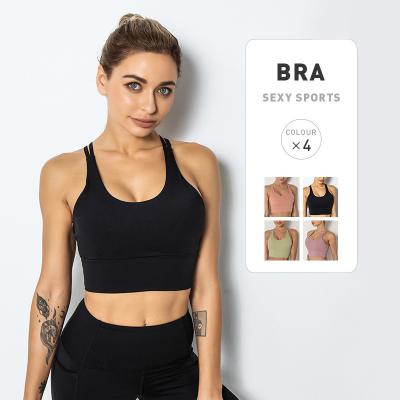 China Best Selling Custom Made Breathable Workout Sports Bra Women Sports Seamless Activewear Bra Sets for sale