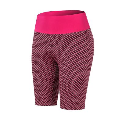 China Breathable Wholesale Honeycomb Womens XL Size Logo Tights Custom Scruch Butt Shorts Gym With Compression for sale