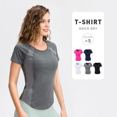 China Factory Supplier Yoga Breathable Women Gym Common Wear Plus Size Sports T-Shirt for sale