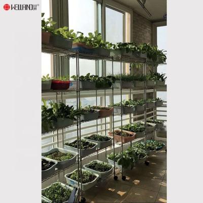 China Corrosion Protection 5 Tiers Warehouse Display Metal Garden Flower Shelf Storage Shelf for sale