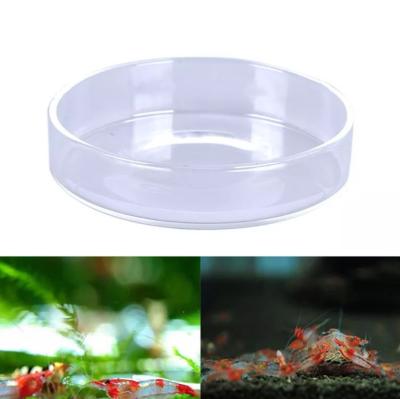 China Viable Aquarium Shrimp Feeding Dish Clear Glass Cup Aquarium Feeder Feeder Food Tray Bowl For Shrimp Fish for sale