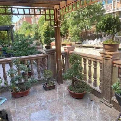 China solid granite or marble stone fence railing for house decoration for sale