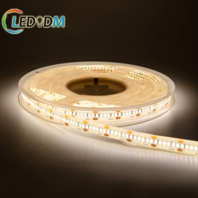 China New 2021 Residential Popular SMD 2216 High Density High Brightness 280leds/M High Brightness Led Flexible Strip Light for sale