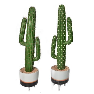 China High Simulation High Simulation Plants Realistic Artificial Cactus Indoor Outdoor House Decor for sale