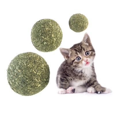 China Stored Pet Toys Safety Ball Catnip Molar Cleaning Teeth Healthy Edible Chew Toy for sale