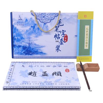 China No Need Tianjintang Ink No Ink Needed Rewritable Chinese Calligraphy Notebook Set For Beginners Zhao Menfu Style Penmanship for sale