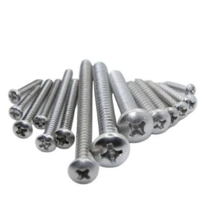 China Factory Industry Best Quality SS304 General Stainless Steel Pan Head Self Tapping Screws Directly for sale